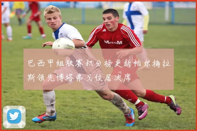 巴西甲组联赛积分榜更新帕尔梅拉斯领先博塔弗戈位居次席