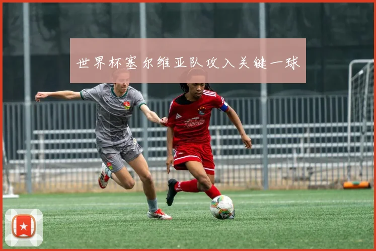 世界杯塞尔维亚队攻入关键一球