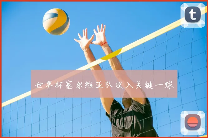 世界杯塞尔维亚队攻入关键一球